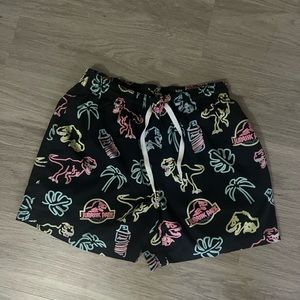 chubbies swim shorts